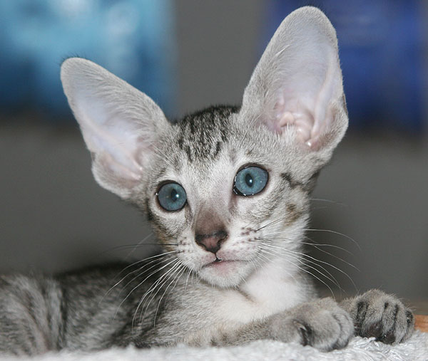 Photo: Carolin Skirl