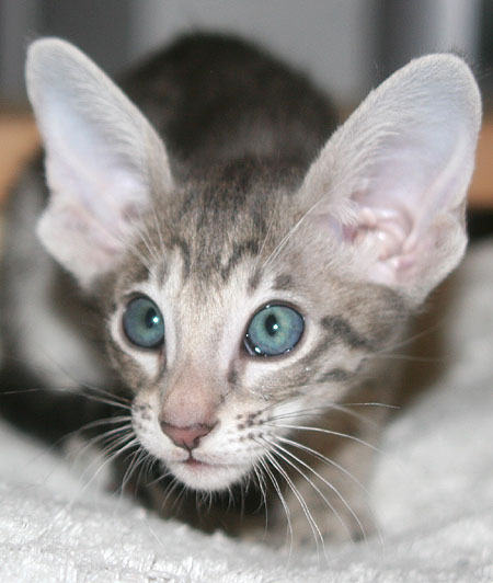 Photo: Carolin Skirl