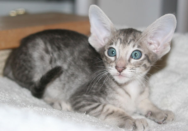 Photo: Carolin Skirl