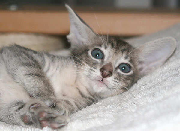 Photo: Carolin Skirl