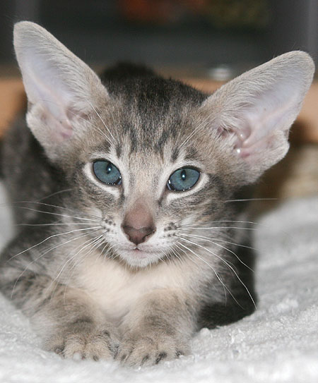 Photo: Carolin Skirl