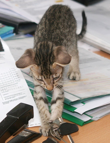 Photo: Carolin Skirl