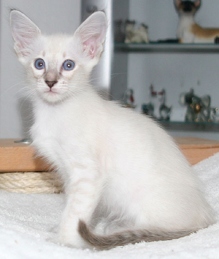 Photo: Carolin Skirl