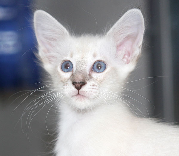 Photo: Carolin Skirl