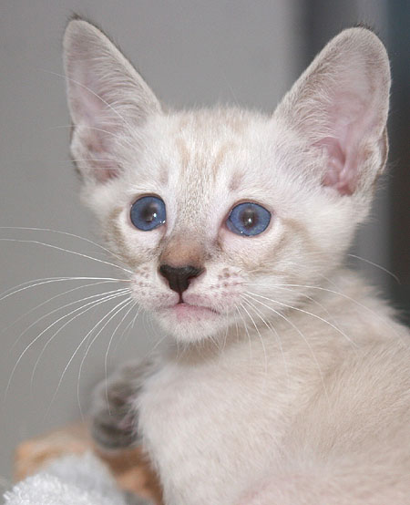 Photo: Carolin Skirl