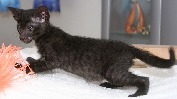 Photo: Carolin Skirl