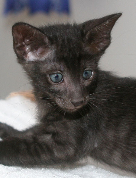 Photo: Carolin Skirl