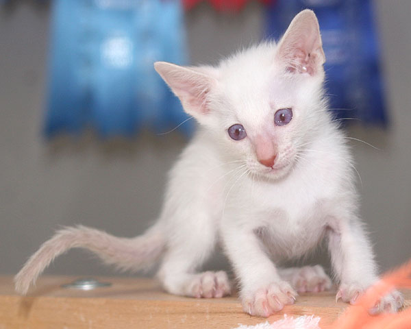 Photo: Carolin Skirl