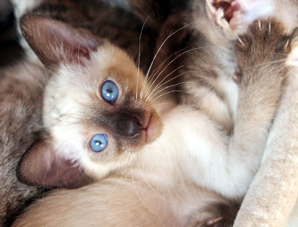 Photo: Carolin Skirl