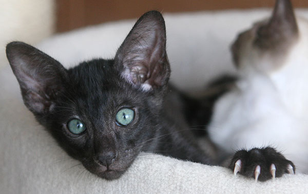 Photo: Carolin Skirl