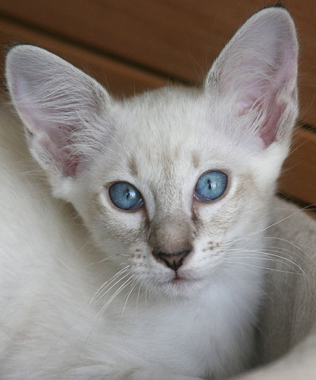 Photo: Carolin Skirl