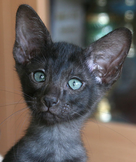 Photo: Carolin Skirl