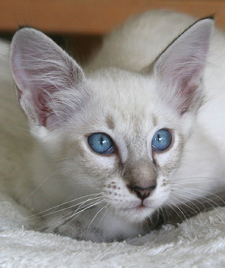 Photo: Carolin Skirl