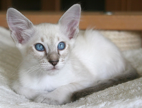 Photo: Carolin Skirl