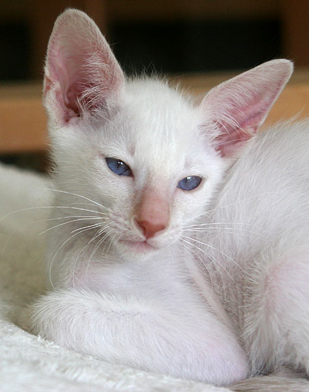 Photo: Carolin Skirl