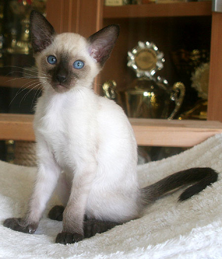 Photo: Carolin Skirl