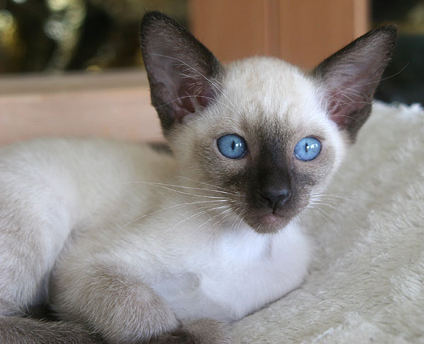 Photo: Carolin Skirl