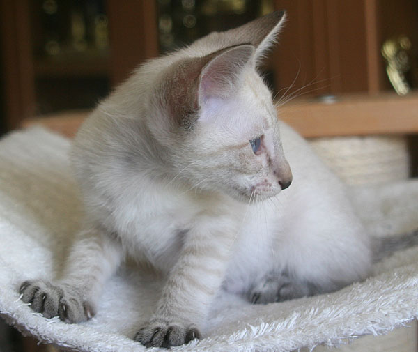 Photo: Carolin Skirl