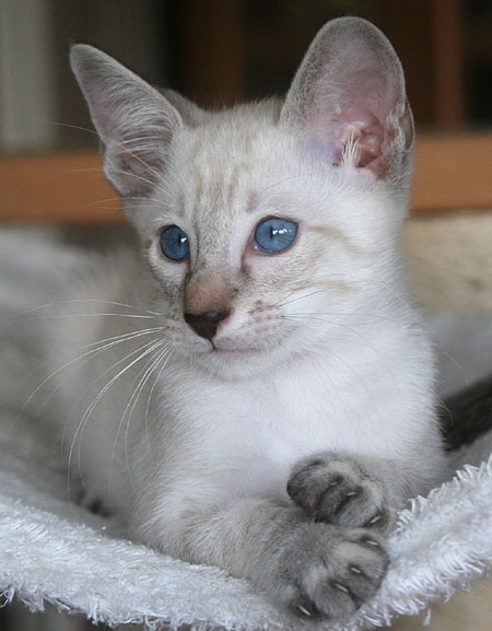 Photo: Carolin Skirl