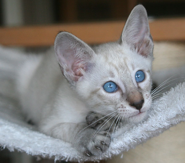 Photo: Carolin Skirl