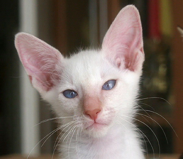 Photo: Carolin Skirl