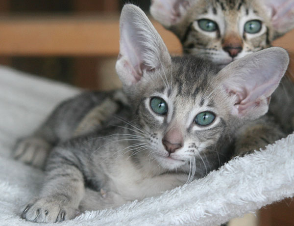 Photo: Carolin Skirl