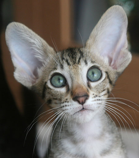 Photo: Carolin Skirl