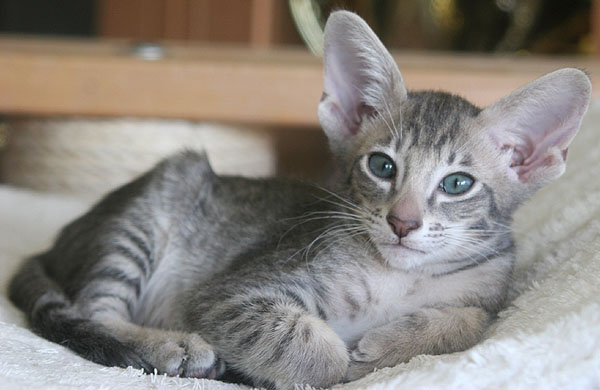 Photo: Carolin Skirl