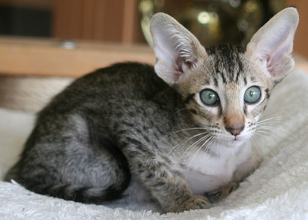 Photo: Carolin Skirl