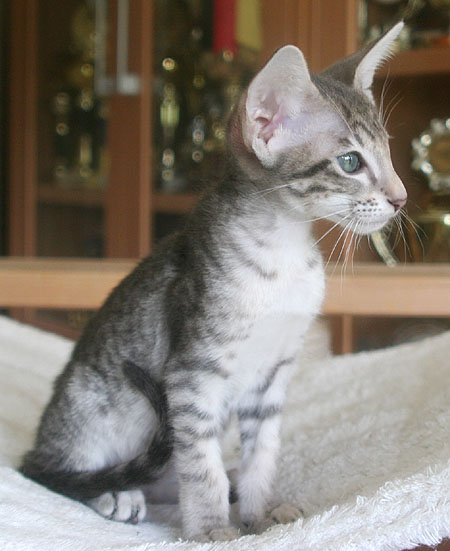 Photo: Carolin Skirl