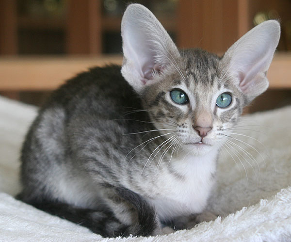 Photo: Carolin Skirl