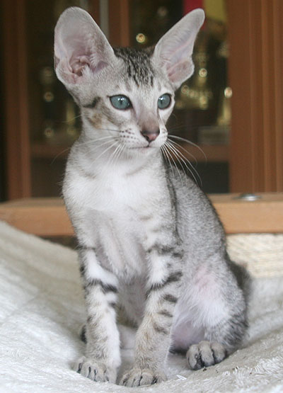 Photo: Carolin Skirl