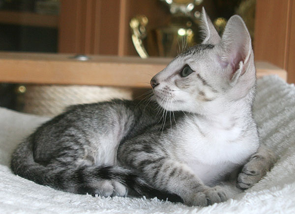 Photo: Carolin Skirl