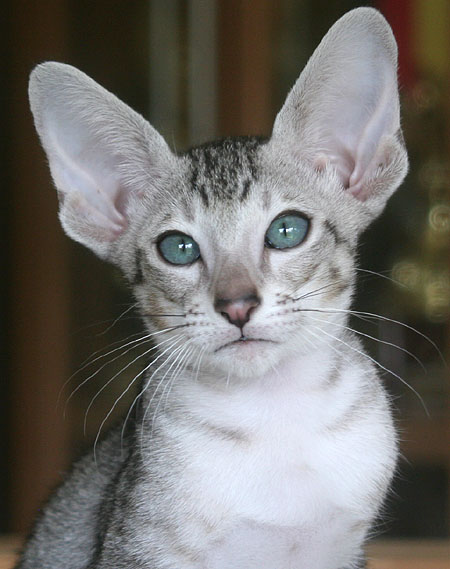 Photo: Carolin Skirl