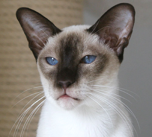 Photo: Carolin Skirl