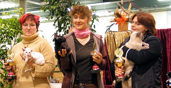 Vergabe der Best in Show am Sonntag