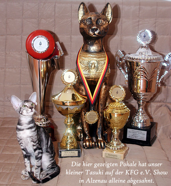 Tasuki und seine P�tte