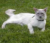 Bewitching Sdstern Floyd