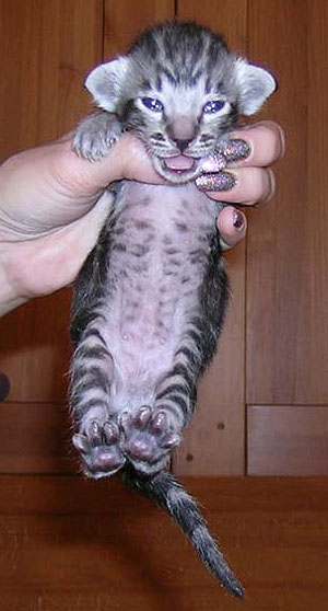 Foto: Svetlana Kustova