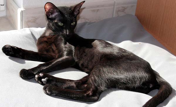 Foto: S. Cramer-Rner