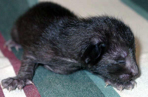 Foto: S. Cramer-Rößner