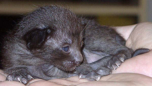 Foto: S. Cramer-Rößner