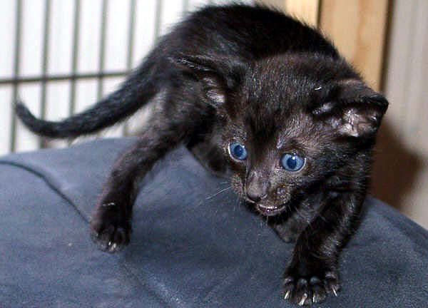 Foto: S. Cramer-Rößner