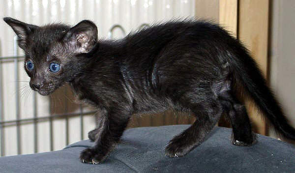 Foto: S. Cramer-Rößner