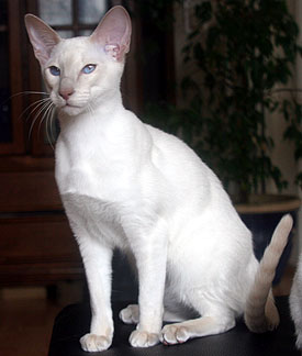 Yuki 6 Mo.   Foto: Carolin Skirl