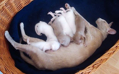 Foto: Marianne Reumer