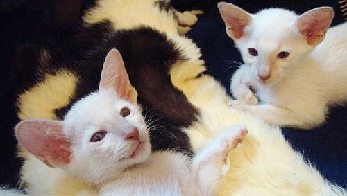 Foto: Marianne Reumer