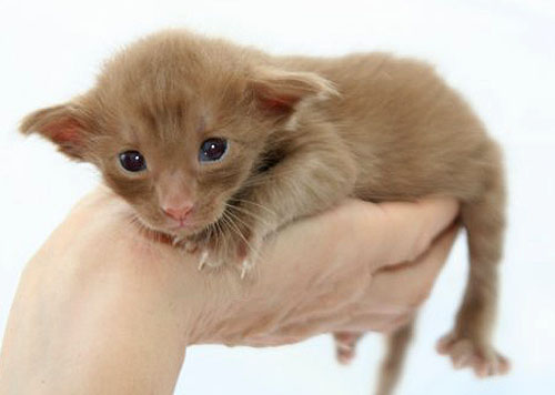 Foto: Friederike Kischka